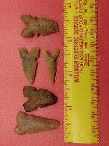 lot 42 image: 5 Bird Points from Africa