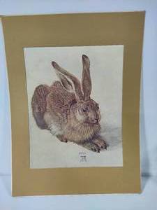 lot 74 image: Hare 1502 by Albrecht Durer