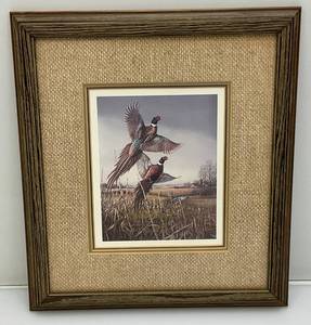 lot 20 image: Framed Behind Glass James Meager Autographed And Dated Pheasant Picture 11 12 X 13
