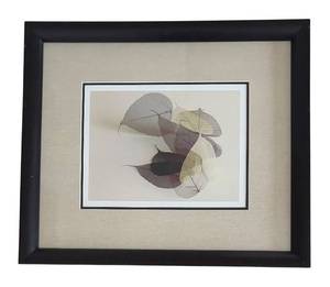 lot 53R image: U - Framed Sauvignon Blanc Print by Big Fish