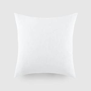 lot 38 image: 21X21 Pillow Insert Ienjoy Home 100% Cotton Shell