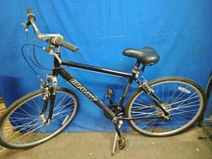 lot 48 image: Gravity Dutch Express hybrid bicycle.