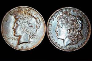 lot 90 image: XF or Better Morgan and Piece Dollars (exact coins shown)