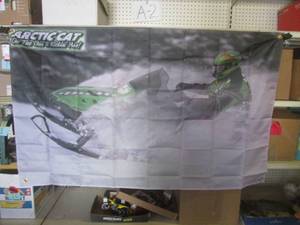 lot 34 image: (FS) 3 ft x 5 ft Arctic Cat On The ...