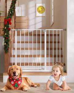 lot 36 image: InnoTruth BabyDog Gate