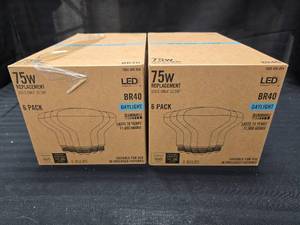 lot 141 image: (2) 6 Packs of 75Watt Dimmable Bulbs (Daylight)