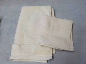 lot 17 image: Ivory Hand Towel and Wash Cloth Set...
