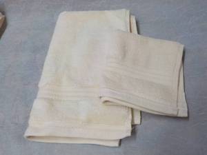 lot 18 image: Ivory Hand Towel and Wash Cloth Set...