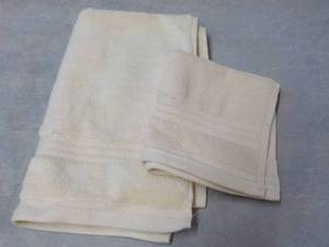 lot 19 image: Ivory Hand Towel and Wash Cloth Set...