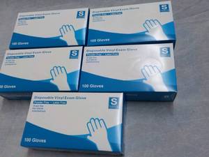 lot 192 image: 500 Disposable Vinyl Exam Gloves si...