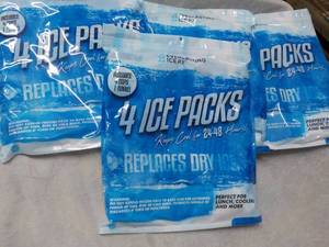 lot 250 image: 4 Everlasting Ice RX 4 Ice Pack Pkg...