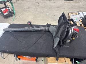 lot 1005 image: Troy-Bilt Backpack Leaf Blower