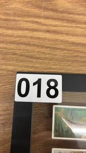 lot 18 image: Framed 1910 W.D. & H.O. Wills Fish and Bait Cigarette Cards Set of 10