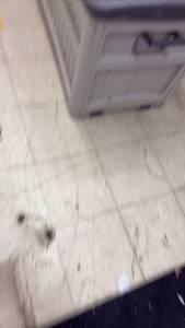 lot 55 image: Large Outdoor Plastic Storage Bin with Hinged Lid