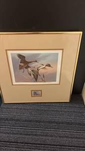 lot 474 image: Framed Duck Print with Stamp Featuring Pintail Pair