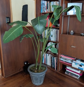 lot 105 image: ML - 5 Foot Tall Potted Faux Plant with Decorative Pot