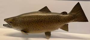 lot 201H image: LL - 26 Inch Brown Trout Fish Mount Wall Decor