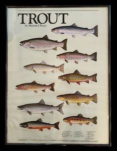 lot 202H image: LL - Framed 1982 Maynard Reece Trout Print