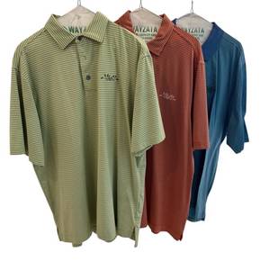 lot 55D image: Set of 3 Woodhill Country Club Striped Polo Shirts Assorted Brands and Sizes