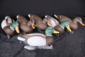 lot 406 image: Flambeau Field Mallard 6-Pack Full-Body Duck Decoys, 18-Inch, Model 8700FBU