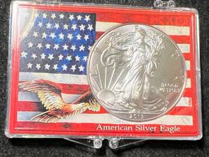 lot 24 image: 2013 AMERICAN SILVER EAGLE 1 TROY OZ .999 FINE SILVER IN CASE