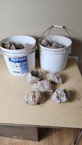 lot 478 image: Buckets of Used Cast Iron Pipe Clamps with Bags