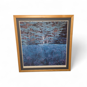 lot 116 image: Signed & Framed Artwork