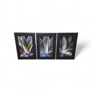 lot 228 image: 3 Piece Framed Artwork Set