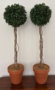lot 66R image: MB - Pair of Artificial Boxwood Topiary Plants in Terra Cotta Pots