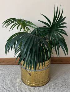 lot 272R image: LL  - Faux Greenery Arrangement Brass Planter