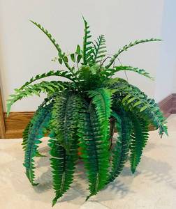 lot 563C image: DR - Silk Green Fern Plant in Decorative Brass Planter, 8 inch Height