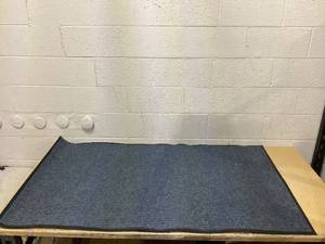 lot 441 image: Indoor Entrance Mat 61x36