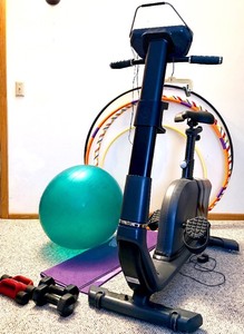 lot 48 image: Horizon Comfort U Stationary Bike with other various Workout Items Lot