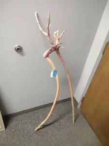 lot 25 image: Ornate Walking stick, Looks like a Moose