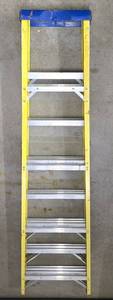 lot 579K image: G - 8 Foot Werner Aluminum Ladder