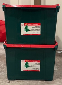 lot 119R image: FR - Set of 2 Iris Holiday Storage Bins