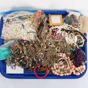 lot 48 image: Large Lot of Costume Jewelry