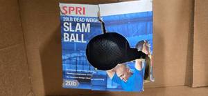 A lot of SPRI 20LB Dead Weight SLAM BALL (NEW)