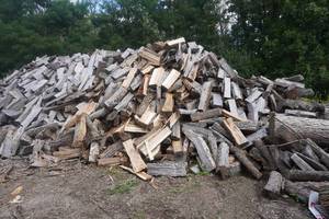 lot 14 image: Pick Up Truck Bed Load of Mixed Species Pre Cut and Split Firewood