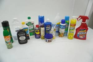 lot 29 image: Cleaning Supplies & Bug Spray