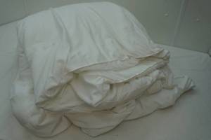 lot 82 image: Queen Size 100% Microfiber Comforter. White. In good Condition.