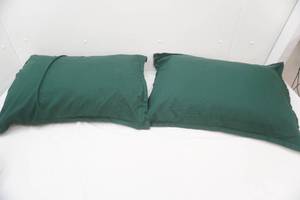 lot 138 image: 2 Pillows wCases