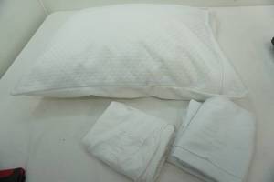 lot 246 image: Pillow with 2 pillow Cases