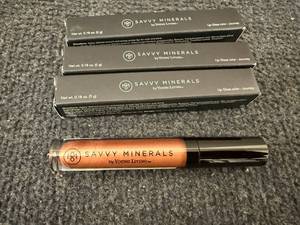 lot 98 image: 4 Savvy Minerals Lip Gloss Sticks - Journey