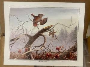 lot 43 image: 600 Orchard Haven Wildlife Art Prints