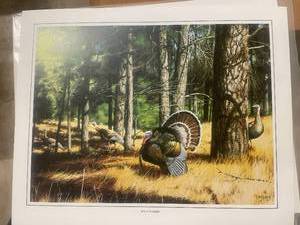 lot 45 image: Wild Turkey Art Prints by J. Hager
