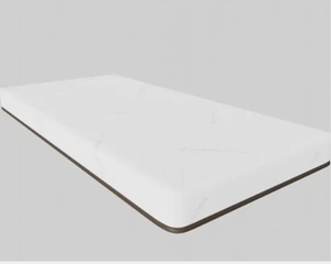 lot 113 image: 34 Inch Nylon Mattress