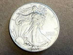 lot 9 image: 2024 1 oz Silver Eagle