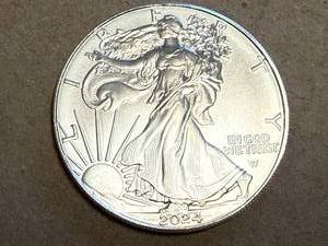 lot 19 image: 2024 1 oz Silver Eagle