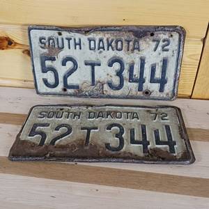 lot 62 image: Set of 2 South Dakota 1972 � See damage, raised letters, full size 12 inch plate